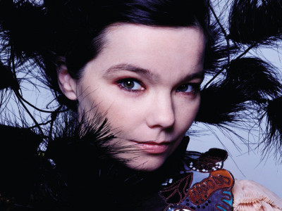 Bjork -- Venus in Capricorn