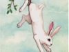 The Hanged Rabbit